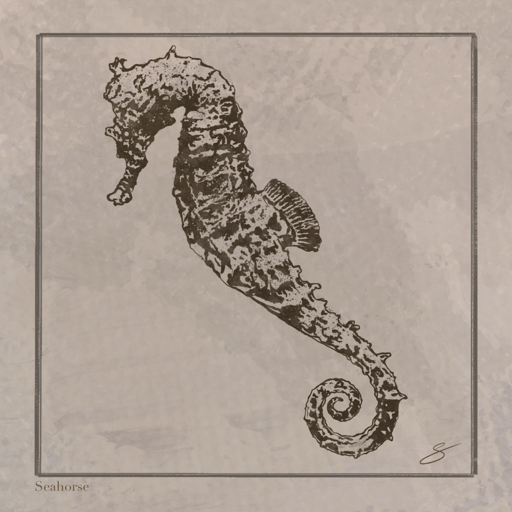 Seahorse